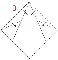 Valley fold the top halves of the diagonal edges to the vertical center and - photo 14