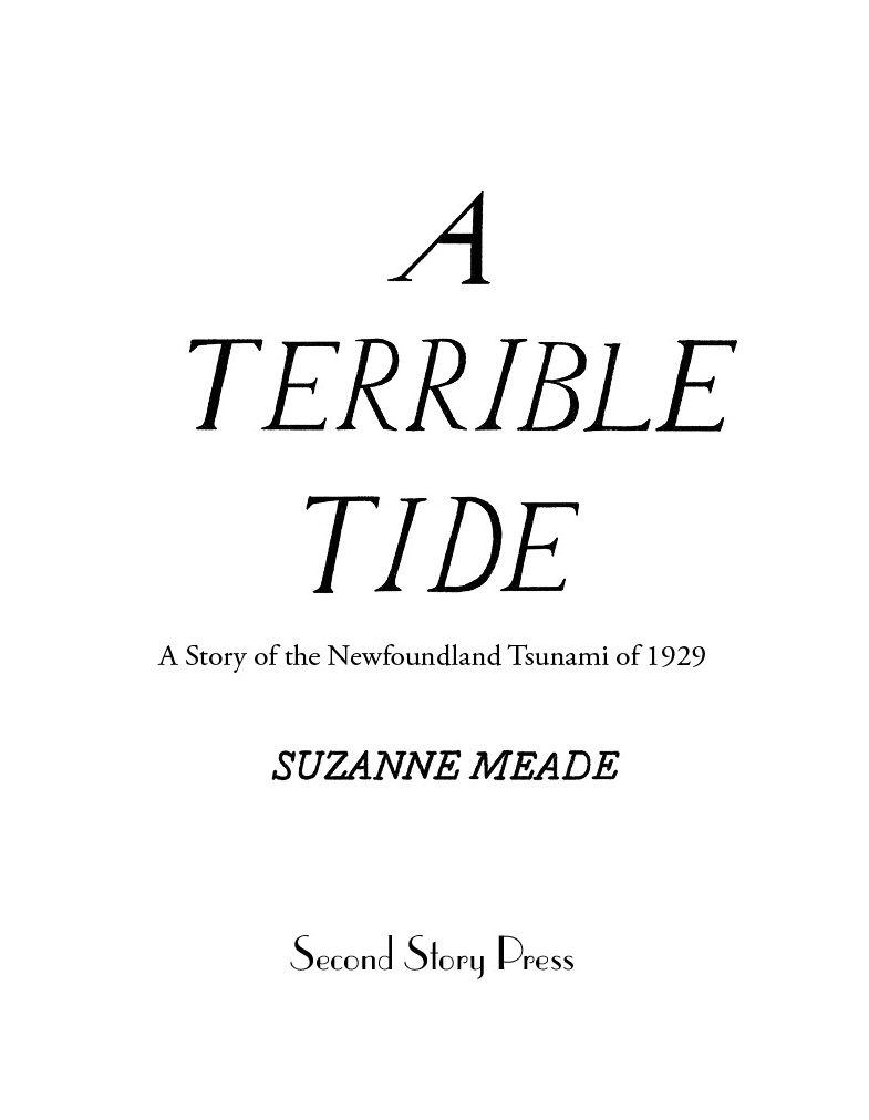 Library and Archives Canada Cataloguing in Publication Title A terrible tide - photo 3