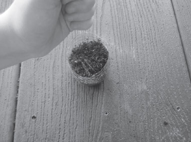 Step 5 Use your finger to poke a small hole in the soil and place the seed in - photo 6