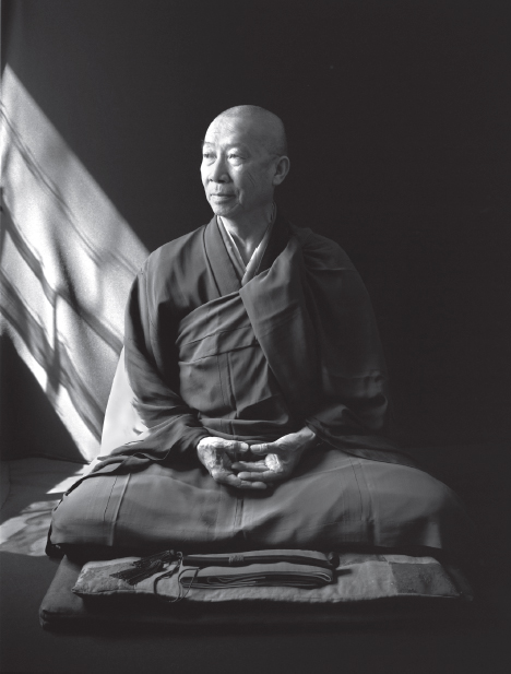 Jakusho Kwong-roshi IN ZEN MEDITATION ANYTHING THAT COMES IN YOUR MIND - photo 3