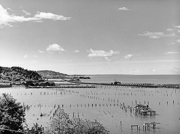 Photograph of the Astoria Oregon waterfront 18601920 Courtesy of the Miriam - photo 4