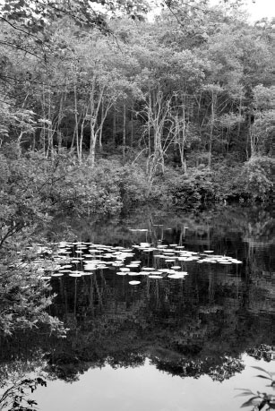 Punch Bowl Photo by author Perhaps it was the ignorance or self-centeredness - photo 3