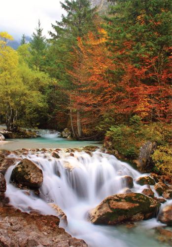 Image Credit Shutterstock Surface water collects in ponds lakes and streams - photo 3