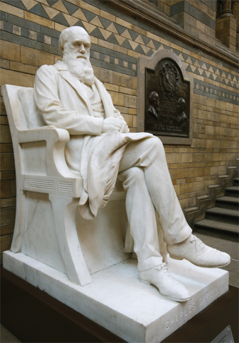 Charles Darwin explained how genetic variations created a variety of life on - photo 2