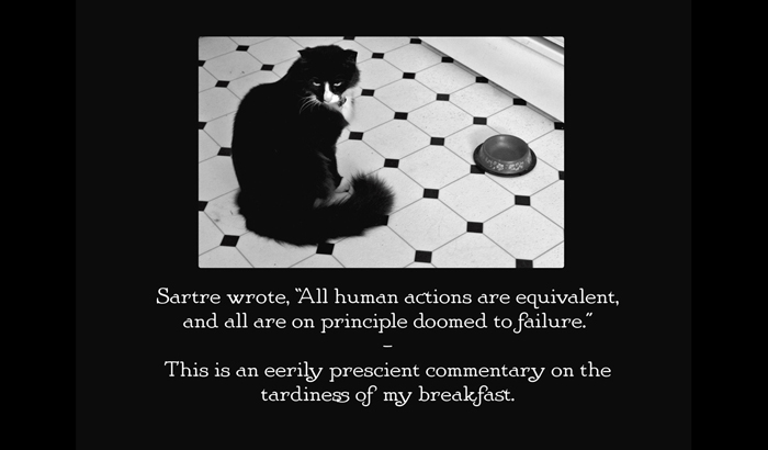 Henri le Chat Noir The Existential Musings of an Angst-Filled Cat - photo 10