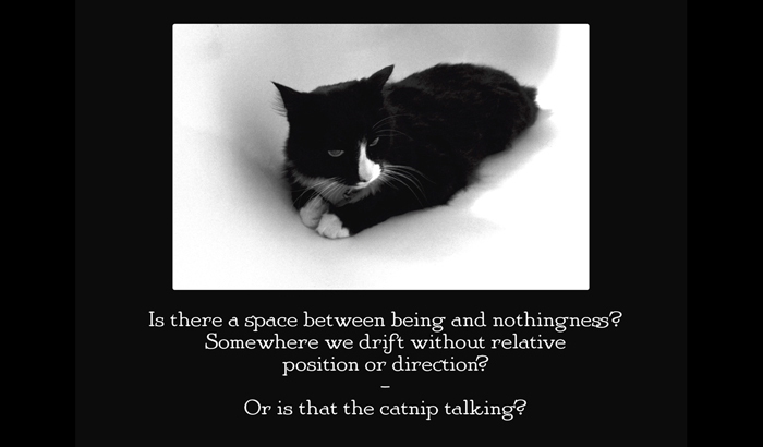 Henri le Chat Noir The Existential Musings of an Angst-Filled Cat - photo 15