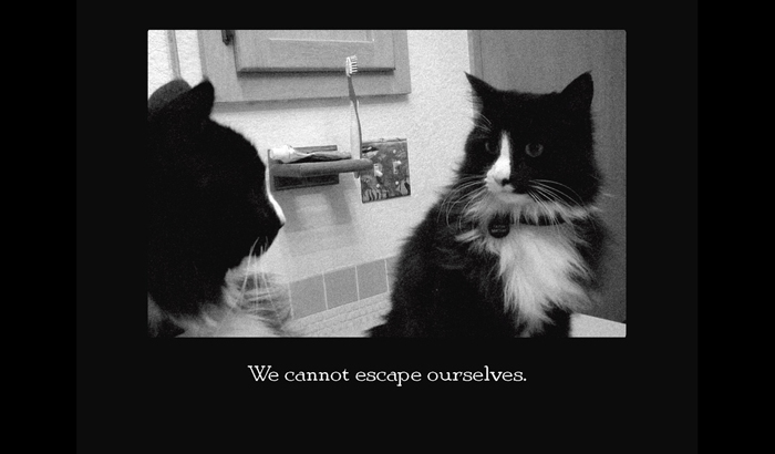 Henri le Chat Noir The Existential Musings of an Angst-Filled Cat - photo 17