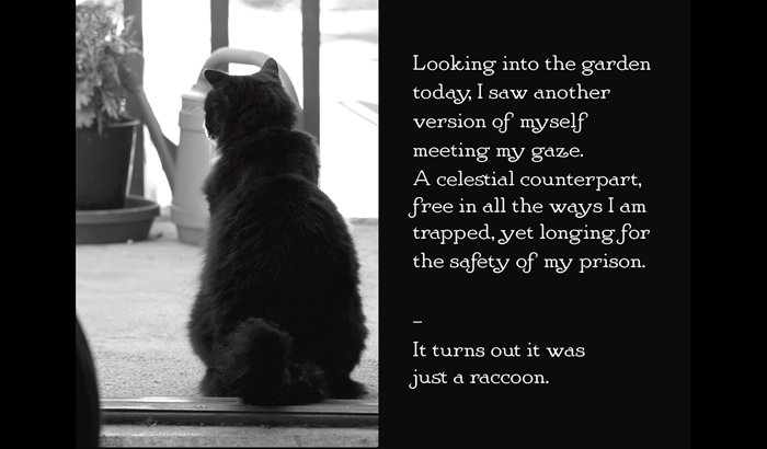 Henri le Chat Noir The Existential Musings of an Angst-Filled Cat - photo 22