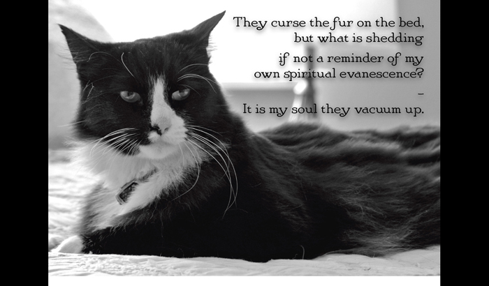 Henri le Chat Noir The Existential Musings of an Angst-Filled Cat - photo 32