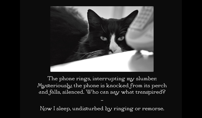 Henri le Chat Noir The Existential Musings of an Angst-Filled Cat - photo 34