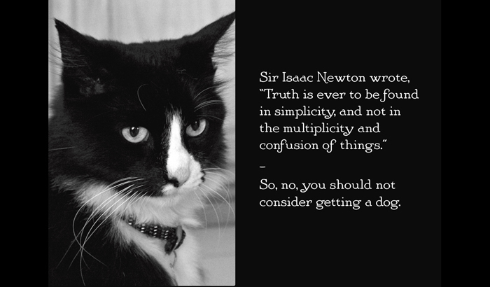 Henri le Chat Noir The Existential Musings of an Angst-Filled Cat - photo 36