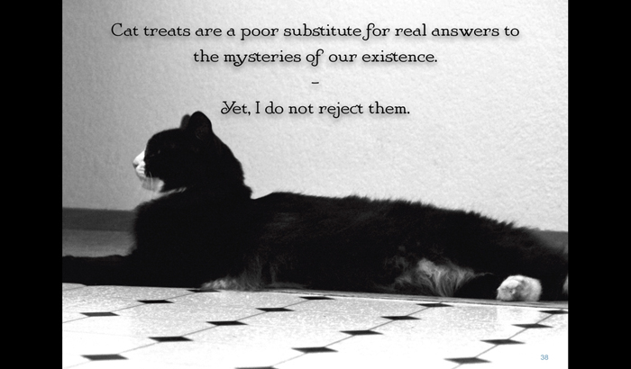 Henri le Chat Noir The Existential Musings of an Angst-Filled Cat - photo 39