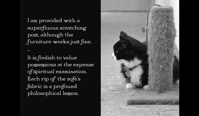 Henri le Chat Noir The Existential Musings of an Angst-Filled Cat - photo 40