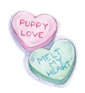 One said Puppy Love Another said Melt My Heart I think this heart will - photo 7