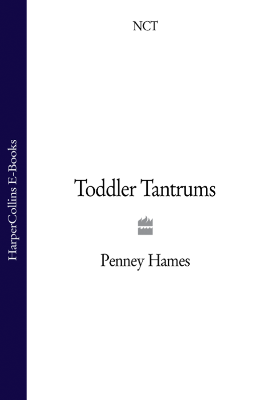 Toddler Tantrums - image 1