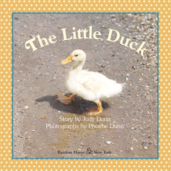 The Little Duck - photo 4