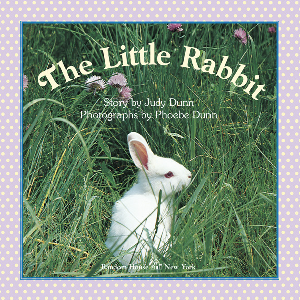 The Little Rabbit - photo 4