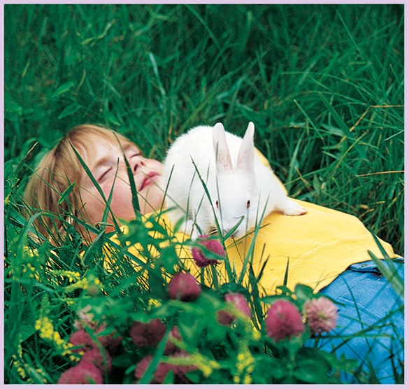 One afternoon Sarah took Buttercup out to the meadow and fell asleep But - photo 16