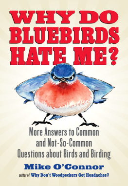 Mike OConnor - Why Do Bluebirds Hate Me?: More Answers to Common and Not-So-Common Questions about Birds and Birding