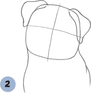 How to Draw Dogs Puppies Step-by-step instructions for 25 different dog breeds - photo 11