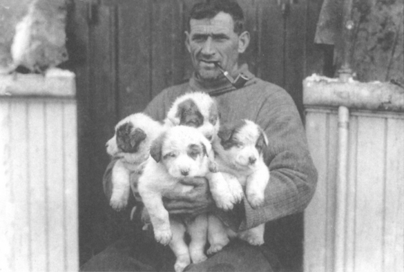 Some of the men went hunting for seals The ships captain Frank Worsley - photo 8