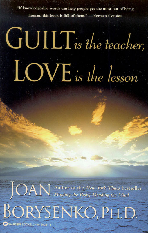 GUILT IS THE TEACHER LOVE IS THE LESSON Copyright 1990 by Joan Borysenko All - photo 1