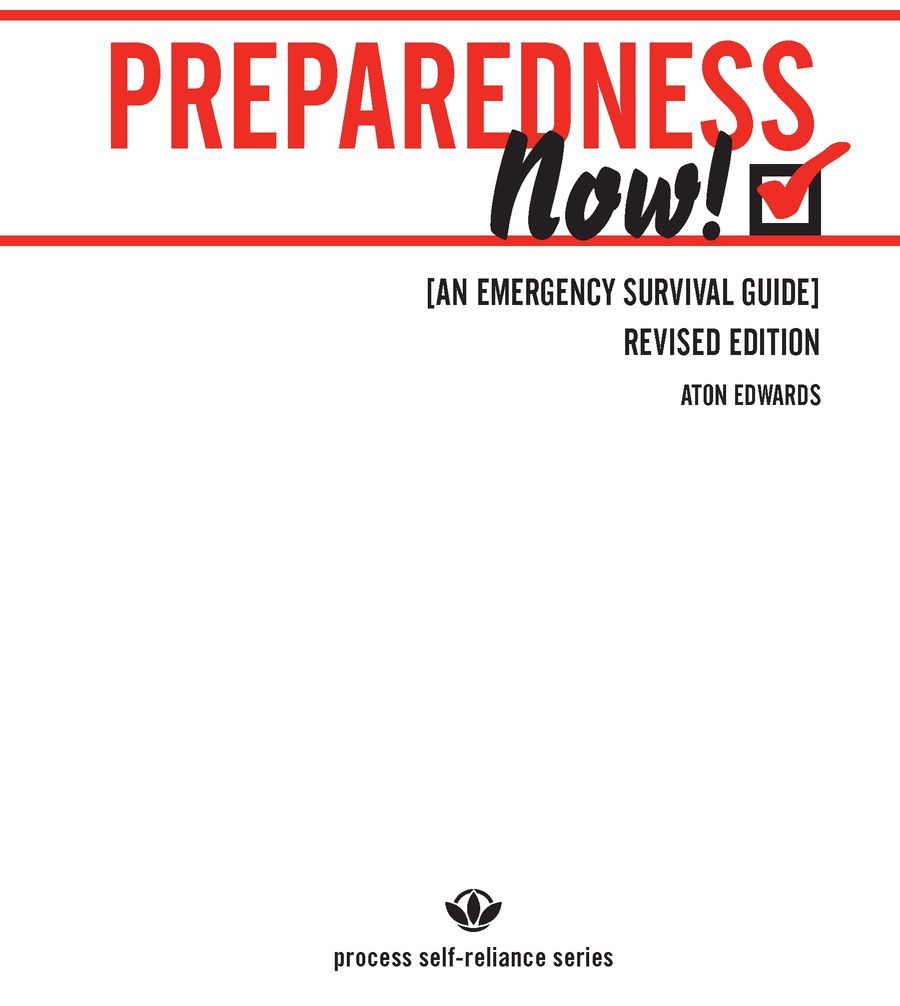 PREPAREDNESS NOW is dedicated to my wonderful son Amen Daddy loves you - photo 2