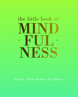 Tiddy Rowan The Little Book of Mindfulness