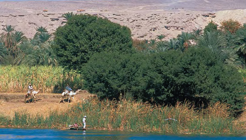 About 96 percent of Egypts total area is desert To aid in the cultivation of - photo 6