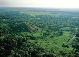 The Olmec settlement of La Venta on the Gulf coast of Mexico was originally - photo 6