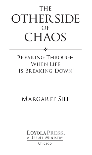 The Other Side of Chaos Breaking Through When Life Is Breaking Down - image 2