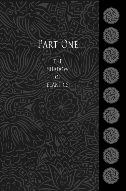 Elantris - image 4