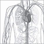 The Cardiovascular System - photo 9