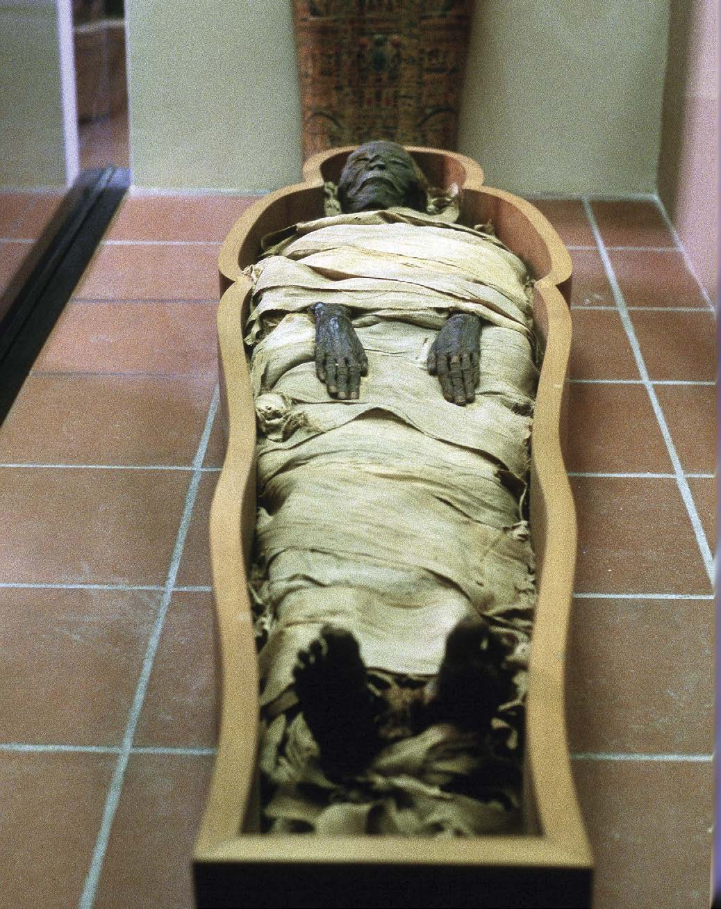 One might not connect ancient Egyptian mummies like this one at the Vatican - photo 3