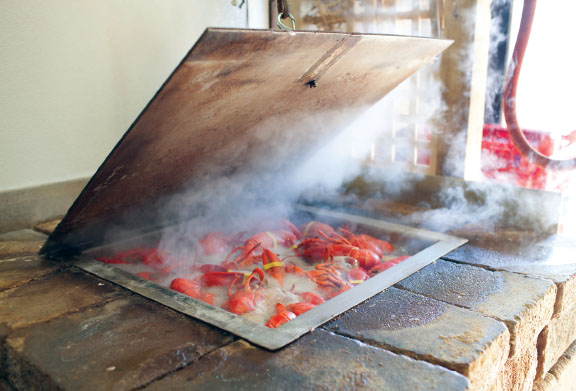 Cooking at the Clam Shack Jane Shauck Photography I almost always prefer a - photo 5