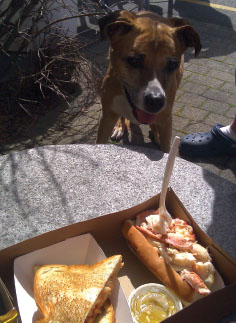 Footbridge lobster roll with Ginger dearly departed canine assistant Photo by - photo 4