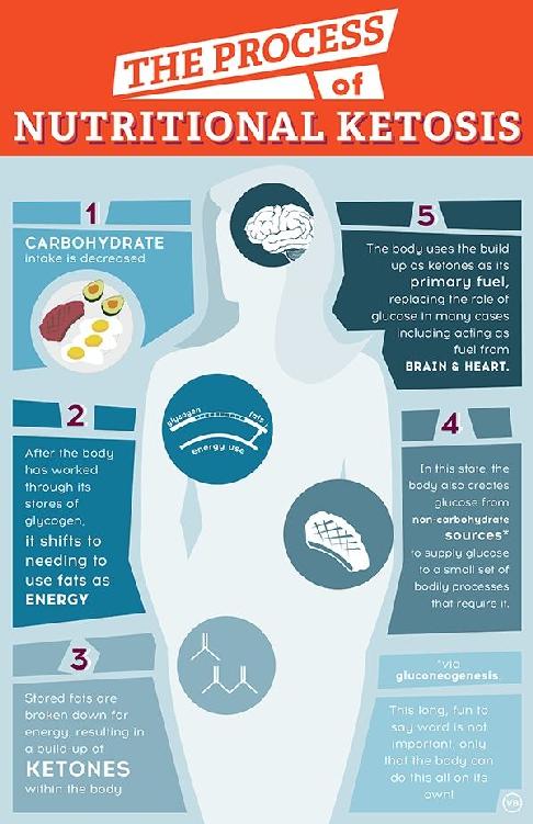 The Theory Behind the Keto Diet The food we eat acts as fuel for our bodies - photo 1