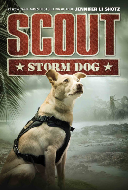 Jennifer Li Shotz Scout: Storm Dog