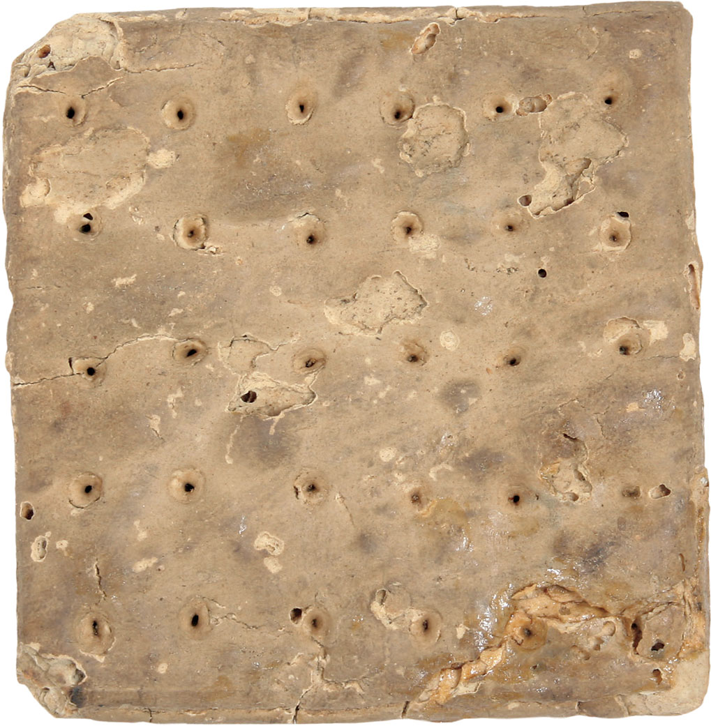 HARDTACK Hardtack crackers were called teeth dullers and iron plate biscuits - photo 12