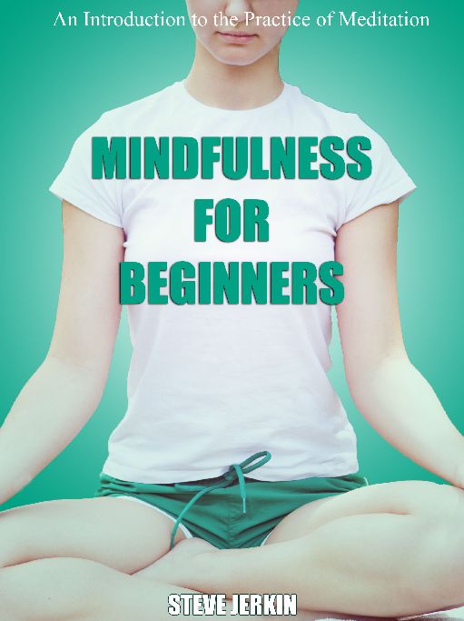 MINDFULNESS FOR BEGINNERS BY STEVE JERKIN Mindfulness for Beginners An - photo 1