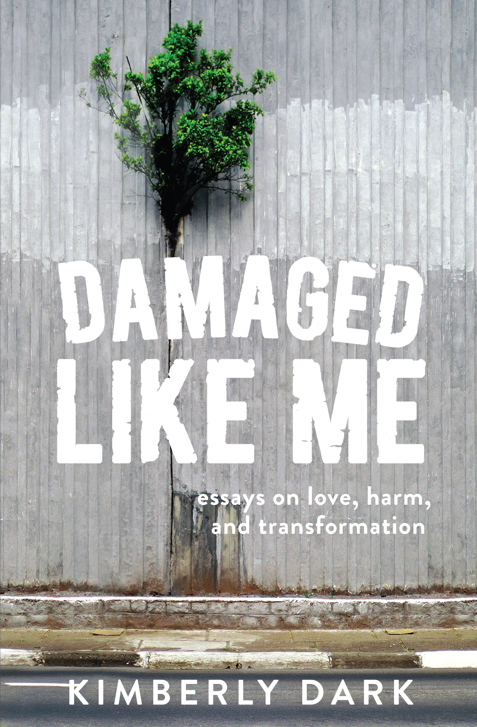 Damaged Like Me Essays on Love Harm and Transformation Kimberly Dark - photo 1