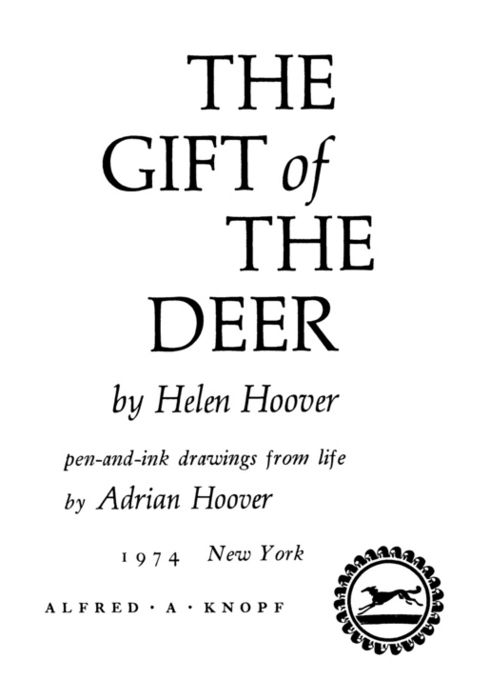 GIFT OF DEER - image 2