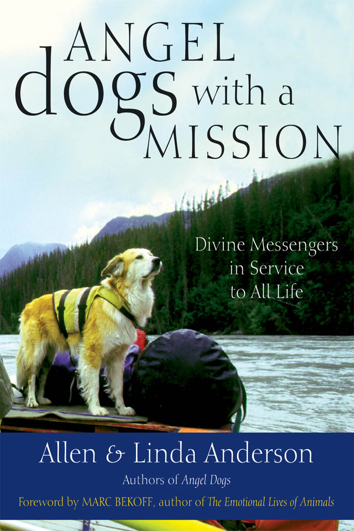 Praise for Angel Dogs with a Mission Allen and Linda Anderson have gathered - photo 1