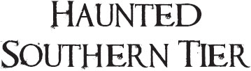 Published by Haunted America A Division of The History Press Charleston SC - photo 1