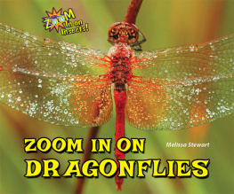 Melissa Stewart - Zoom in on Dragonflies