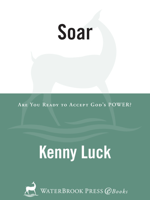 Praise for Soar Soar offers a timely word for men looking to develop - photo 1