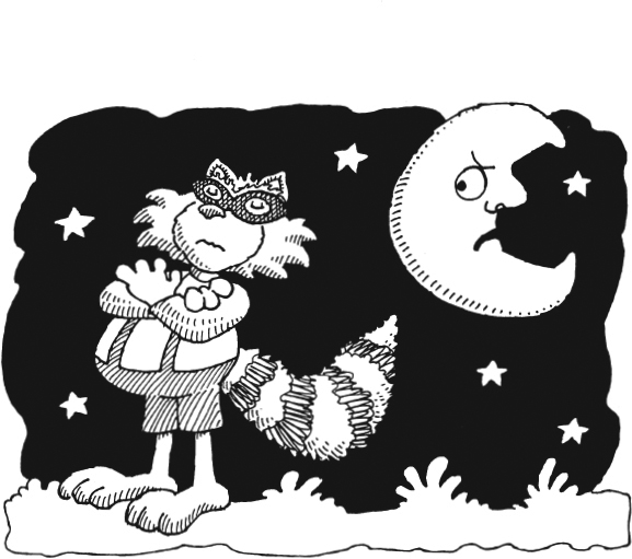 There once was a knowing raccoon Who didnt believe in the moon Every monthdont - photo 9