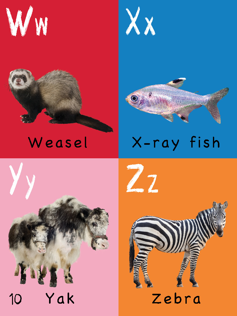 The Toddlers Handbook Numbers Colors Shapes Sizes ABC Animals Opposites and Sounds with over 100 Words that every Kid should Know - photo 10