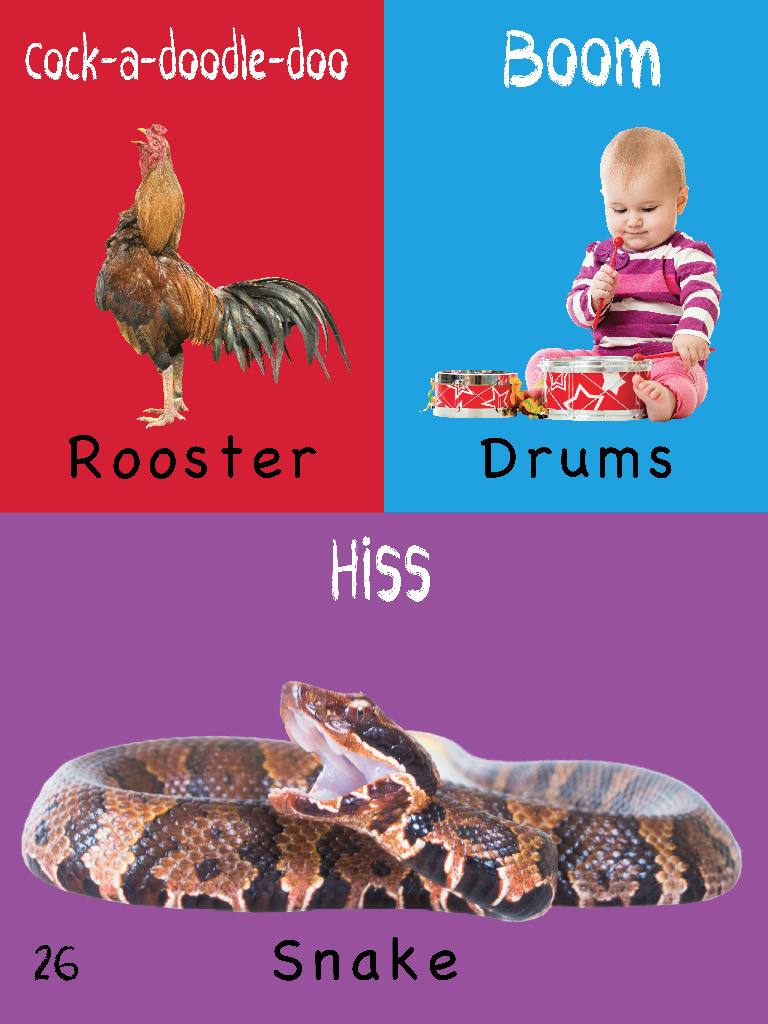 The Toddlers Handbook Numbers Colors Shapes Sizes ABC Animals Opposites and Sounds with over 100 Words that every Kid should Know - photo 26