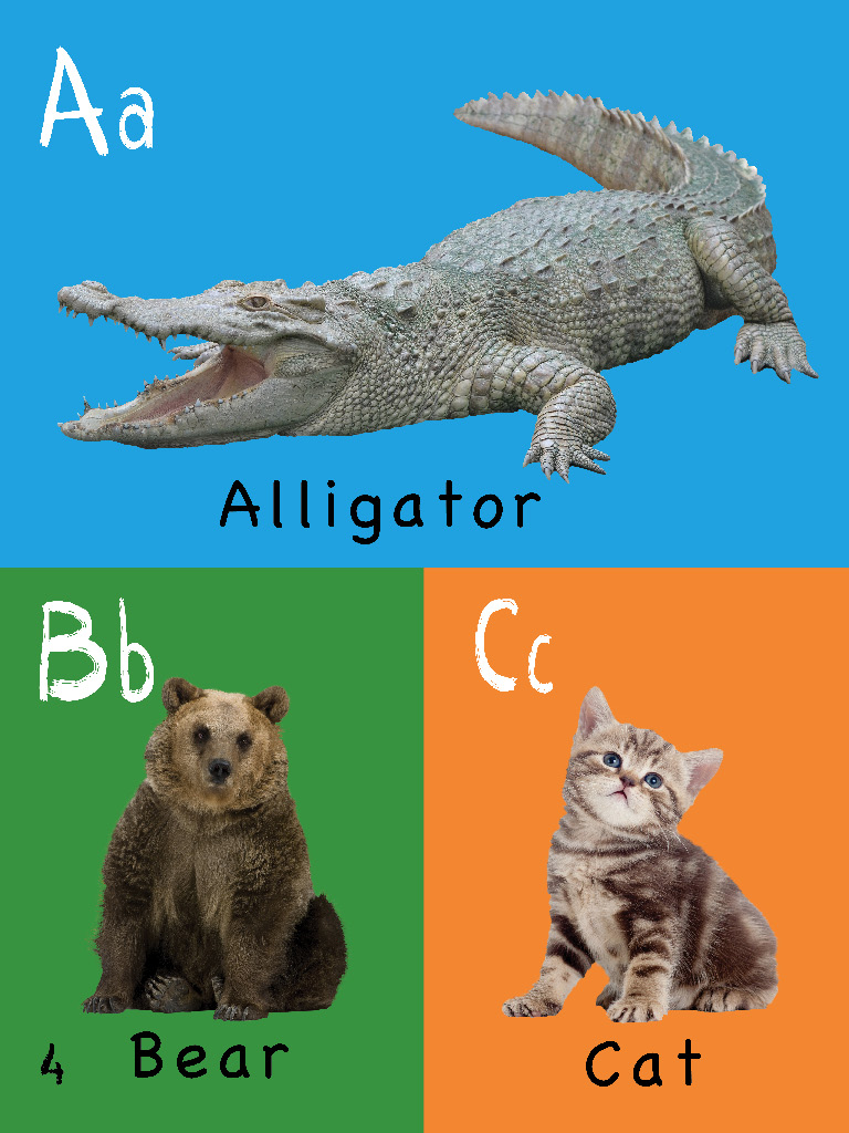 The Toddlers Handbook Numbers Colors Shapes Sizes ABC Animals Opposites and Sounds with over 100 Words that every Kid should Know - photo 4